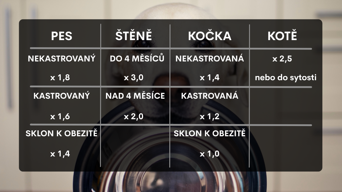Koeficienty denní potřeby energie podle typu zvířete